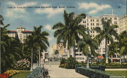 Flagler Street from Bayfront Park Miami, FL Postcard Postcard Postcard