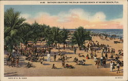 Bathers Enjoying Palm Shaded Beach Miami Beach, FL Postcard Postcard Postcard