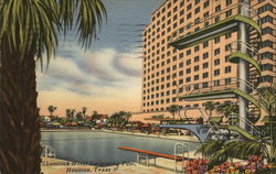 Shamrock Hotel - Swimming Pool Houston, TX Postcard Postcard Postcard