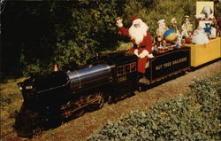 Santa on Nut Tree Miniature Railroad Vacaville, CA Postcard Postcard Postcard