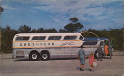 America's Farorite Bus: The Super Scenicruiser Buses Postcard Postcard Postcard