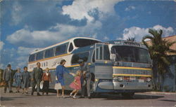 America's Favorite Bus: The Super Scenicruiser Buses Postcard Postcard Postcard