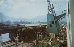 Loading Bananas, Standard Fruit & Steamship Co. Wharf La Ceiba, Honduras Central America Postcard Postcard Postcard