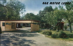 Oak Motor Lodge San Antonio, TX Postcard Postcard Postcard