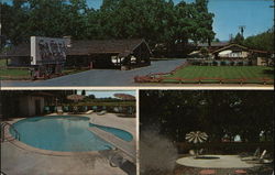 Safari Garden Motel Chico, CA Postcard Postcard Postcard