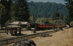 The "Super Skunk" Trains, Railroad Postcard Postcard Postcard