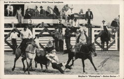 Earl Wofford Bulldogging (Wrestling) Wild Texas Longhorn Postcard