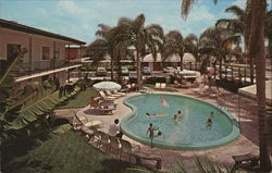 Quality Motel St. Petersburg, FL Postcard Postcard Postcard