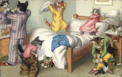 Cat Pillow Fight Cats Postcard Postcard Postcard