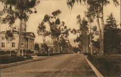 Pomona College - Looking North on College Avenue Postcard