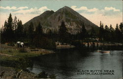 Black Butte Postcard