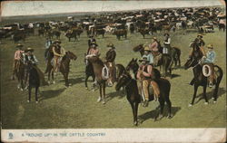 A "Round Up" in Cattle Country Cowboy Western Postcard Postcard Postcard