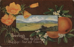 Greetings from the Land of Sunshine - Fruit and Flowers Postcard