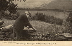 John Burroughs Providing For the Chipmunks Roxbury, NY Postcard Postcard Postcard