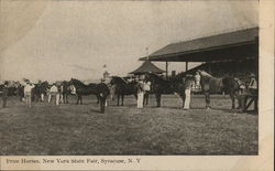 Prize Horses, New York State Fair Postcard