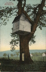 Tree House, Springtown Postcard