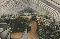 The Saltford Flower Shop - Plant Room Poughkeepsie, NY Postcard Postcard Postcard