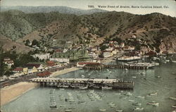 Water Front of Avalon, Santa Catalina Island California Postcard Postcard Postcard