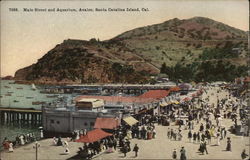 Main Street and Aquarium Postcard