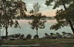 Glimpse of Orange Lake From the Park Postcard