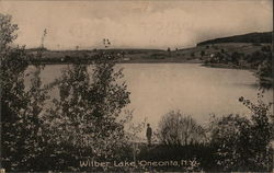 Looking Across Wilber Lake Postcard