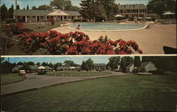 Mt. Vee Motel Alexandria, VA Postcard Postcard Postcard