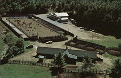 Painted Pony Ranch Postcard