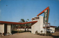 Cactus Motel St. Petersburg, FL Postcard Postcard Postcard