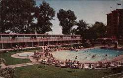 Edgewater Beach Motel Postcard