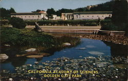 California Academy of Sciences, Golden Gate Park Postcard