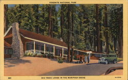 Big Trees Lodge in the Mariposa Grove Yosemite National Park Postcard Postcard Postcard