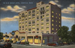 The Blue Bonnet Hotel Postcard