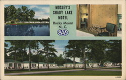 Mosley's Shady Lake Motel Postcard