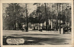 Whispering Pines - North Entrance Accomac, VA Postcard Postcard Postcard