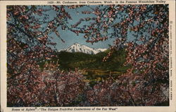 Mr. Cashmere, from Cashmere, Wash.,in the Famous Wenatchee Valley Washington Postcard Postcard Postcard