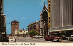 Florida Avenue, Looking North Tampa, FL Postcard Postcard Postcard