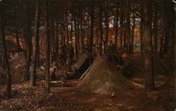 Typical Bivouac Scene at Fort Dix Postcard