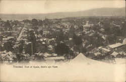 Bird's Eye View of City Postcard