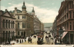 Royal Avenue Postcard