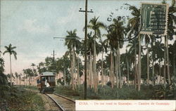 Cuba - On the road to Guanajay- Postcard Postcard