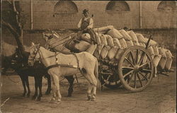 Carro Con Sacci di Grano Postcard