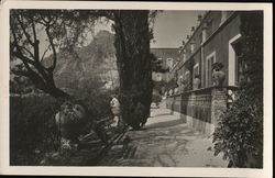 Hotel Timeo - Terrace Postcard