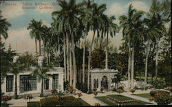 Botanical Gardens Havana, Cuba Postcard Postcard