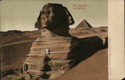 The Sphinx Egypt Africa Postcard Postcard