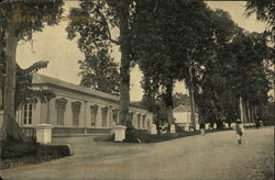 Bogor Zoology Museum, Dutch East Indies Indonesia Southeast Asia Postcard Postcard