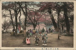 Cherry-Blossoms Uyeno Park, Tokyo Postcard