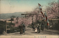 Cherry Blossoms, Noge Hill Postcard