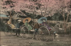 Women in Rickshaws with Umbrellas and Traditional Dress Postcard