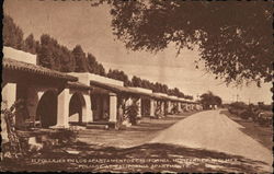 MEX FOLIAGE AT CALIFORNIA APARTMENTS Postcard