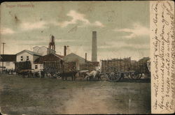 Sugar Plantation Cuba Postcard Postcard